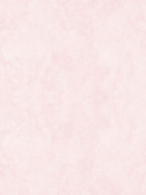 (コミティア138) [MIEOW (らする)] Succubus_02