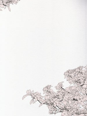 [愛昧亭 (愛昧亭うまみ)] ふたなり中心すけべ絵まとめ2 - Illustration of FUTANARI-Skeb.e - (よろず) [DL版]_02
