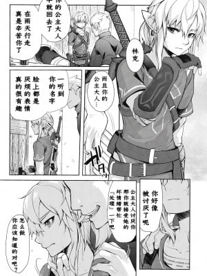 [Amakasas (ONP)] 思い出してはいけない記憶 (ゼルダの伝説) [逃亡者×真不可视汉化组]_23