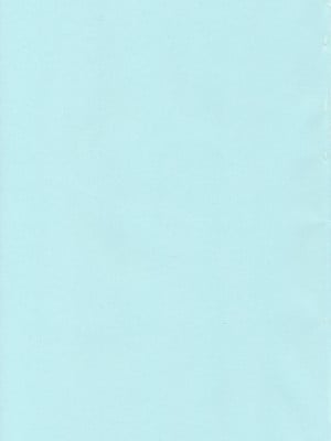 (C90) [catastrophe. (ハルサワ)] わがままな姉の欲望トラ [Don't Trust and Support Irodori Comics !]_004