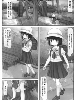(C99) [とりぷるぴんち! (ひかみいずと)] ながされ青空シュトローム [白杨汉化组]_02