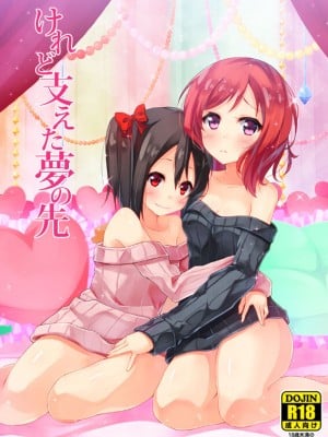 (C87) [すにぃる (シュウリン)] けれど支えた夢の先 (ラブライブ!)