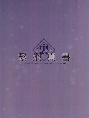 (C97) [hlz (鎖ノム)] 裏・繋姫真書 (プリンセスコネクト!Re：Dive) [影子van个人汉化]_12