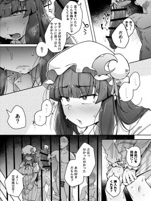 [自家発電処 (flanvia)] 穴とむっつりどすけべだいとしょかん 5 (東方Project) [DL版]_11