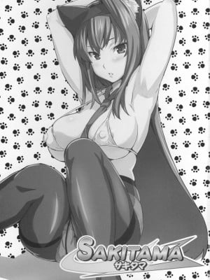 (C73) (同人誌) [武田弘光(真珠貝)] SAKITAMA サキタマ (アルカナハート)[漢化]_SAKITAMA01