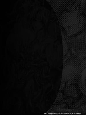 [ERECTTOUCH (エレクトさわる)] 淫汁皇女 COMPLETE REMIX ～恥辱の輪姦調教・触手責め～ [DL版]_003