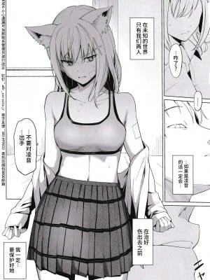 [yellowcotton (あおやまきいろ。)] 腐敗世界に砂粒ふたつ (ブルーアーカイブ) [逃亡者×真不可视汉化组]_09