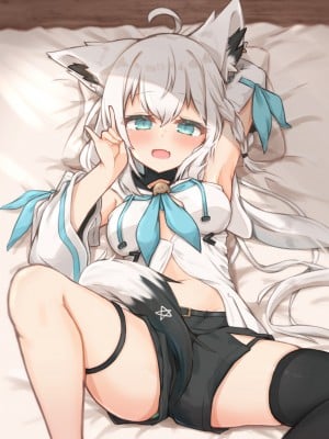 [とみょーかせいしじょう (とみょー)] アイドル白狐と同棲性活する本 (白上フブキ) [中国翻訳] [DL版]_12