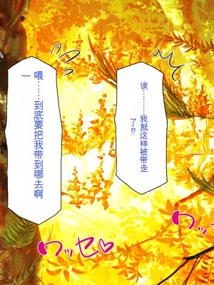 [一億万軒茶屋] 熱帯雨林の奥地に男根崇拝ドスケベエルフの集落を見た![中国翻訳]_017