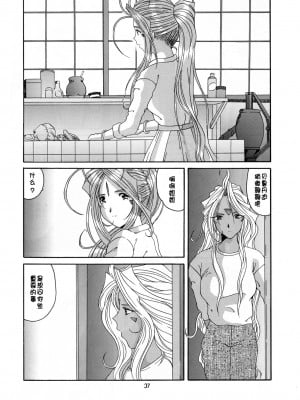 [里流浪猫汉化组] (Cレヴォ25) [天山工房 (天誅丸)] Nightmare of My Goddess 6 (ああっ女神さまっ)_37