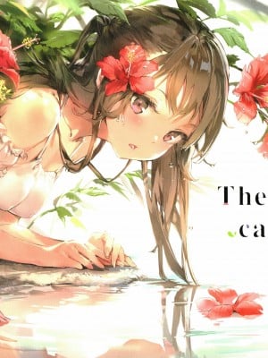 (C94) [メガネ少女 (Anmi)] The teabag catalogue Complete edition[白杨汉化组]