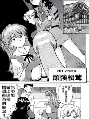 (C71) [天狗のつづら (黒てんぐ)] A wild fancy (新世紀エヴァンゲリオン) [中国翻訳]_08