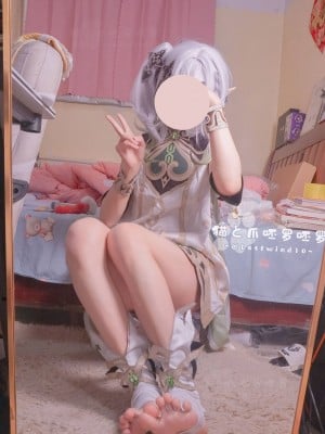 猫と爪呸罗呸罗-纳西妲_2453308-cec8b9a120-00000007