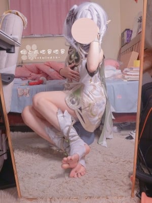 猫と爪呸罗呸罗-纳西妲_2453308-cec8b9a120-00000009