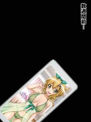 [ファンタスティック☆猫侍]戦姫絶頂シンフォギア2H_007