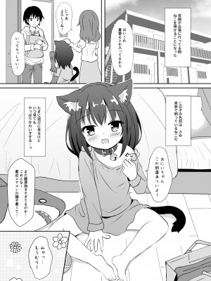 [すずめねすと (雨美すずめ)] いもうとみたいなねこ [DL版]_04