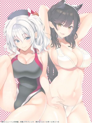 (C95) [ニュートンの林檎 (戌角柾)] N,s A COLORS #09 (艦隊これくしょん -艦これ-、アズールレーン)_011