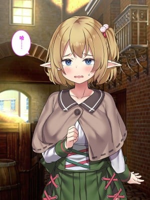 [はにわモナカ (エロッチ)] 森から出てきた、人間を知らないエルフの錬金術師 騙されバッドエンド編 [中国翻訳]_179