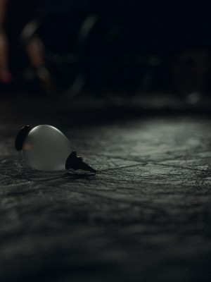 [Jared999D] Fallen Lady 6 [中国翻訳]_FL6-159