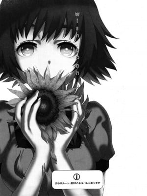 (CHAOS;GATE) [世界平均律 (udk)] Wish a upon star (シュタインズゲート)_002