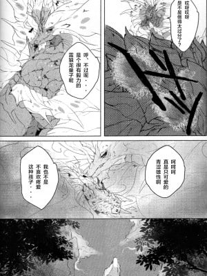 (関西!けもケット7) [DE？ (片桐マヤ)] 小夜嵐 (モンスターハンター) [ZX个人汉化]_06
