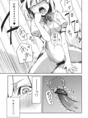 (例大祭7) [白ネギ屋 (miya9)] みょんなお使い (東方Project)_012