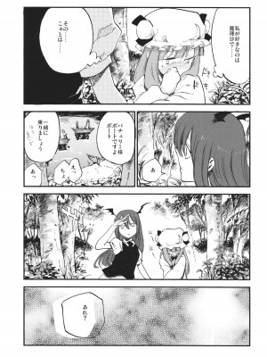 (例大祭10) [白ネギ屋 (miya9)] 曇天ライブラリー (東方Project)_010