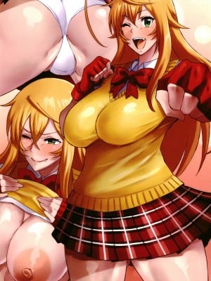 (C102) [ディオゲネスクラブ (灰川へムレン)] BRICOLA 8 (BLEACH) [中国翻訳]_41