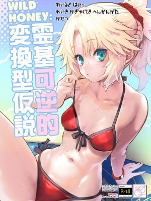 [Peθ (もず)] WILD HONEY：霊基可逆的変換型仮説 (Fate／Grand Order) [中国翻訳] [DL版]