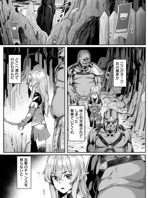 [エリア14 (かせい)] エッチなエルフとの暮らし方3巻 ～堕ちた美人姉妹…終わらないオークの性宴～ [DL版]_05