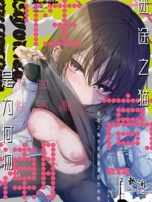 [えだまめ亭 (うこ)] 迷い猫はいき方を知らない (ブルーアーカイブ) [欶澜汉化组] [DL版]_01
