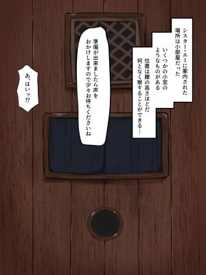 [カブト3号]  金玉に溜まった穢れはドスケベビッチシスターの即ハメスケベ穴で清めましょう_007