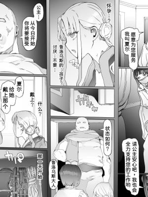 [pinkjoe] 王となる者～王姫調教録～ [潇洒个人汉化]_37