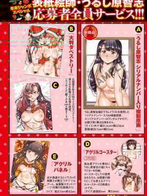 コミックマショウ 2024年1月号 [DL版]_003