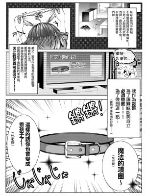 [starry calm (鈴凪りか)] お兄ちゃんは妹を躾けたい [白杨汉化组]_04