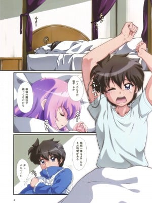 (C102) [ももしば杏子 (なふたん)] 帰宅寸前その2 (ゼロの使い魔)_02