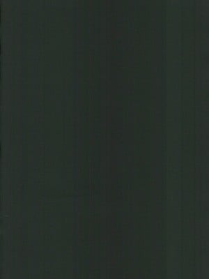 (C101)  [美顔器 (山田くろ)] あなたのオメガ (鬼滅の刃)｜屬於妳的Omega [中国翻訳]_02