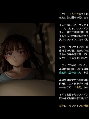 [正経同人(As109)]CITY no.109双子編・貳_267