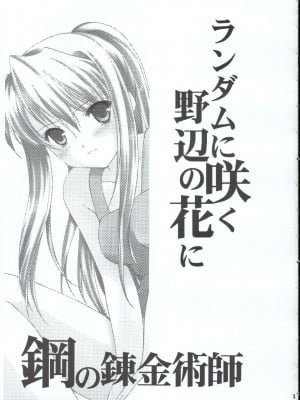 (C65) [AION (天羽真理)] ランダムに咲く野辺の花に (鋼の錬金術師)_02