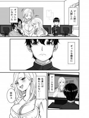 [手弁当] ギャルゲーしてたらギャルとデキたっ! [DL版]_03
