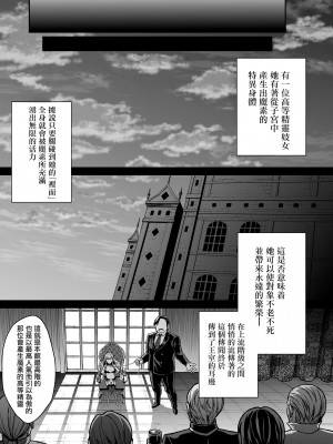 [無邪気漢化組] [目啼子重嵌] [無修正] [H.B.A (うさぎなごむ)] 黄昏の娼エルフ4 [中国翻訳] [DL版]_042
