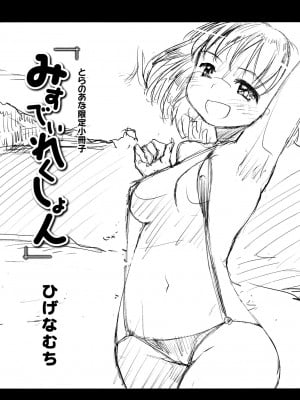 [ひげなむち] みすでぃれくしょん とらのあな限定小冊子  [中国翻訳]