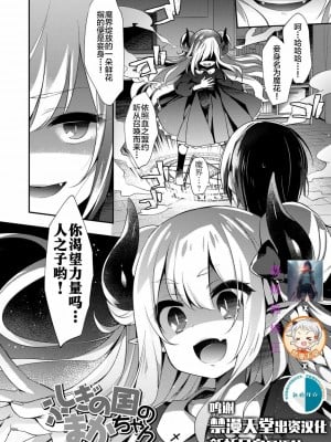 不可思議國度的魔花醬[轟媽無修正版][新桥月白日语社x禁漫天堂] [ふみー]とろとろむちゅう 附特典 ~秘密城堡~_005