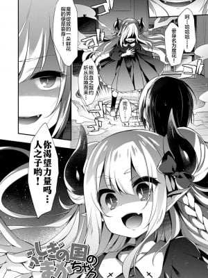 不可思議國度的魔花醬[轟媽無修正版][新桥月白日语社x禁漫天堂] [ふみー]とろとろむちゅう 附特典 ~秘密城堡~_007