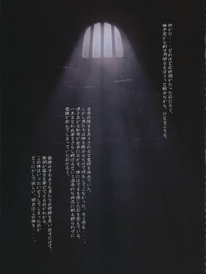 (C103) [T2 ART WORKS (Tony)] エルフマニア (Tony MAGAZINE 11)_06