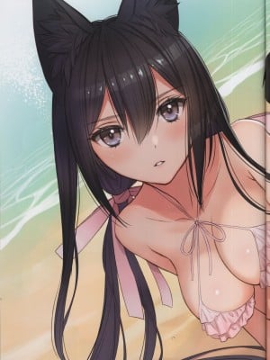 (C103) [T2 ART WORKS (Tony)] エルフマニア (Tony MAGAZINE 11)_40