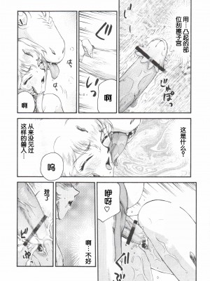 (C71) [LTM. (たいらはじめ)] ニセ DRAGON BLOOD! 14. [WindSong个人汉化]_12