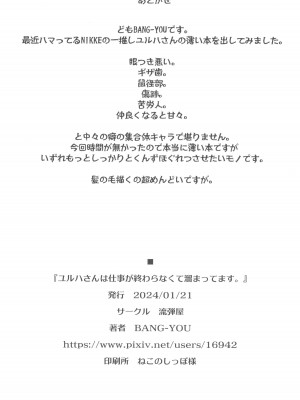 (BS祭7) [流弾屋 (BANG-YOU)] ユルハさんは仕事が終わらなくて溜まってます。 (勝利の女神：NIKKE)_11