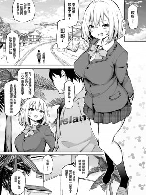 [あいらんどう] 妹孕ませないと出られない島+おまけ｜不让妹妹怀孕的话就离不开的岛 [中国翻訳] [無修正]_04