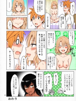 (C91) [ぶれいんでっど (Eiジ)] とらぶるMIX (To LOVEる ダークネス) [カラー化]_21